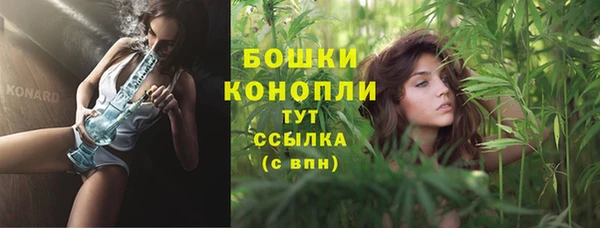 стафф Надым