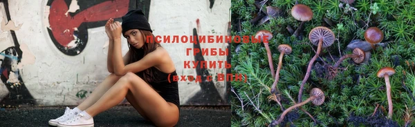 гидропоника Михайловка