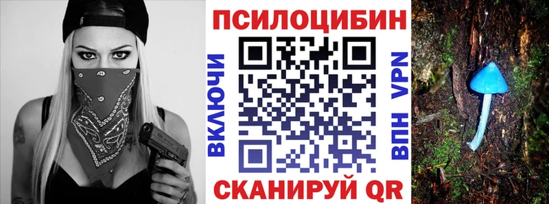 Купить  Нальчик  Галлюциногенные грибы прущие грибы 